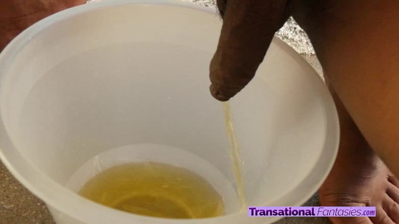Transational Fantasies: Güzel zenci trans kız işiyor