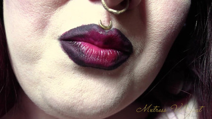 Mxtress Valleycat: Pelatihan kepatuhan nikotin nebula