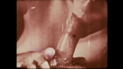 Vintage megastore: Excitatorul de porci