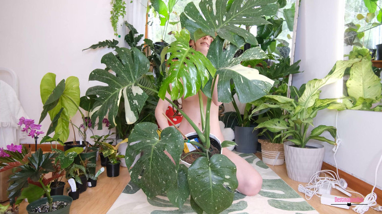 Destination Kat: Planta desnuda - Jan y Feb