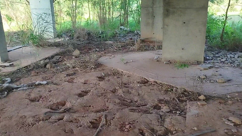 TheBlacKHunterr: Я пішов попісяти на будівельний майданчик, і мені захотілося увійти в курс справи