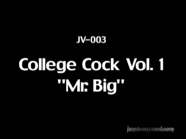 Janet Mason Productions: Mr. Big returns- kaanooni mard land!