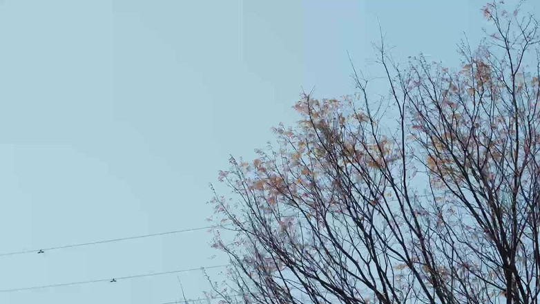 Eagle-Special: Rio en gift kvinna som bor med sin man och...