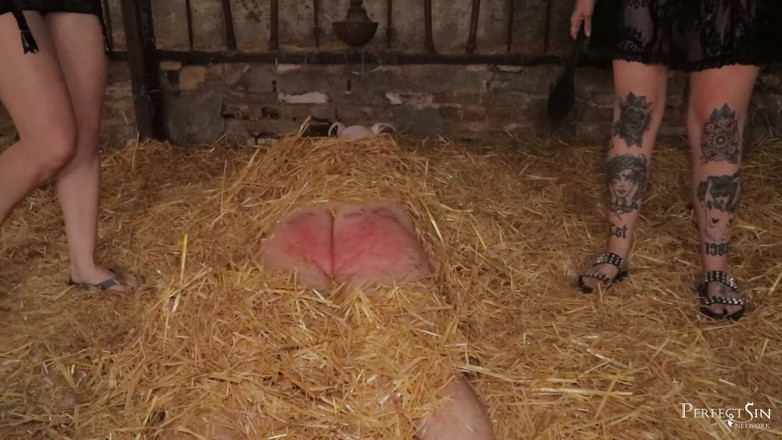 Perfect Sin Network: Cvičení pro prasátko