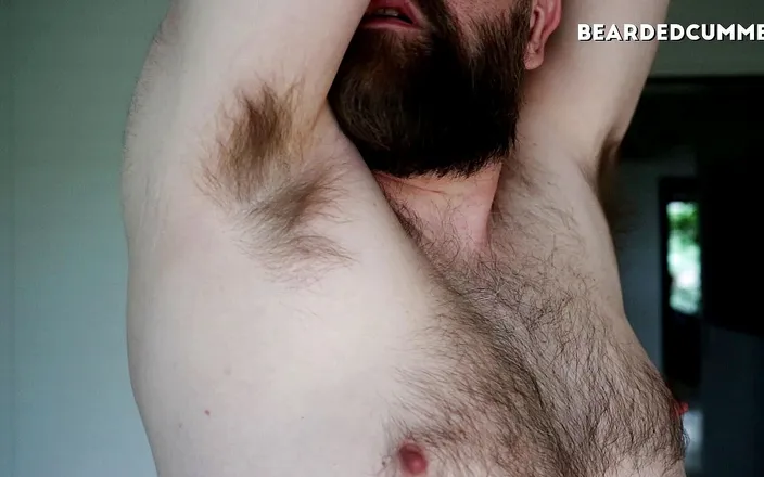 Beardedcummer: Hairy pits, chest, beard and nipple play
