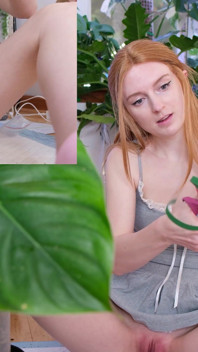 Natte plant tutorial