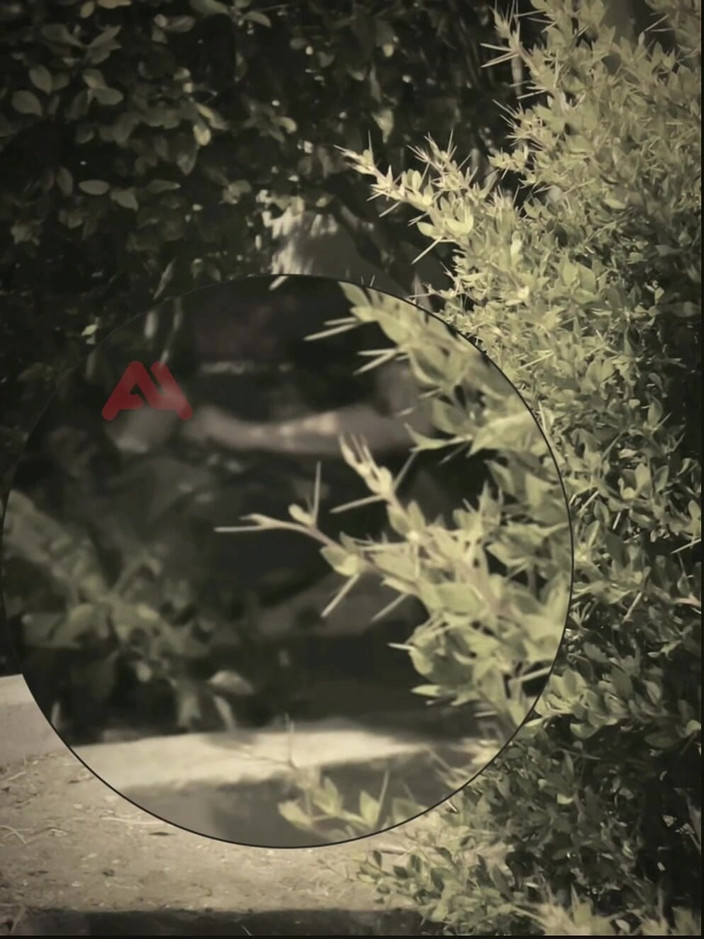 AmateurMates: Amatérský chlapec saje chlapa, kterého našel při honění na ulici