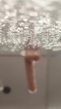 Shower Dildo Squirt