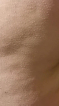 Ass Here