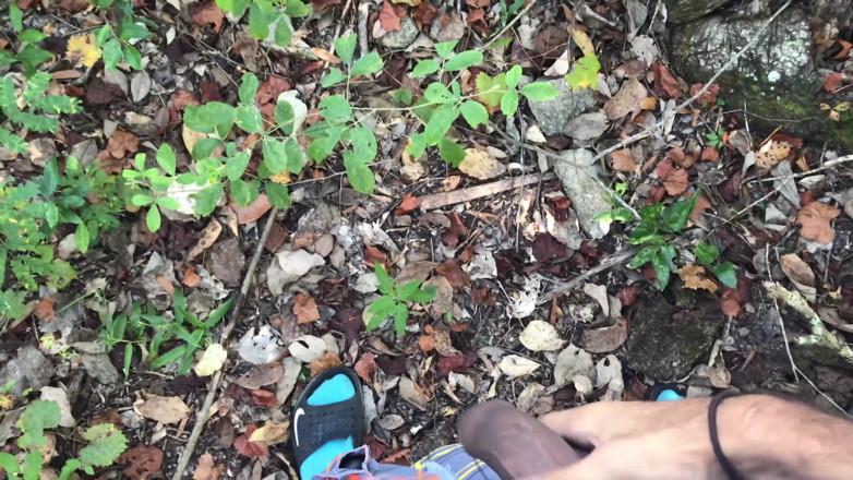 Arthur Eden aka Webcam God: Caminhada natural em primeiro plano (4K)