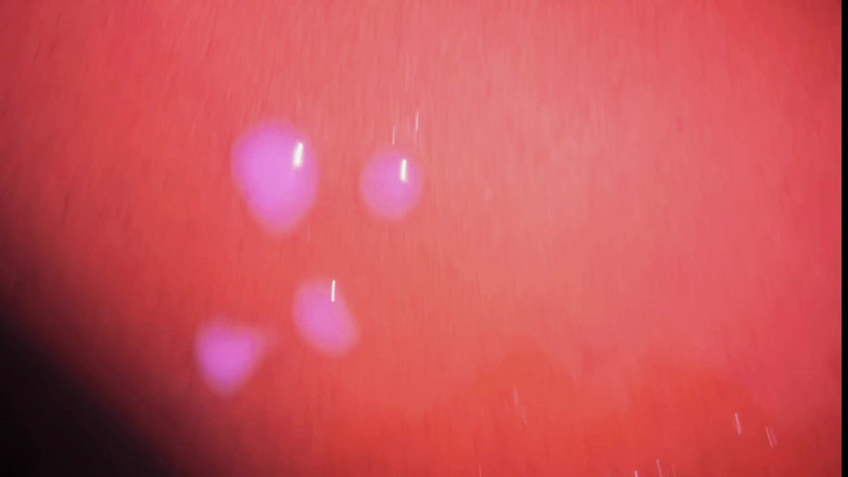 Bangcum3: Saya mengongkek pantat gemuk dengan kerap dan lebih rendah