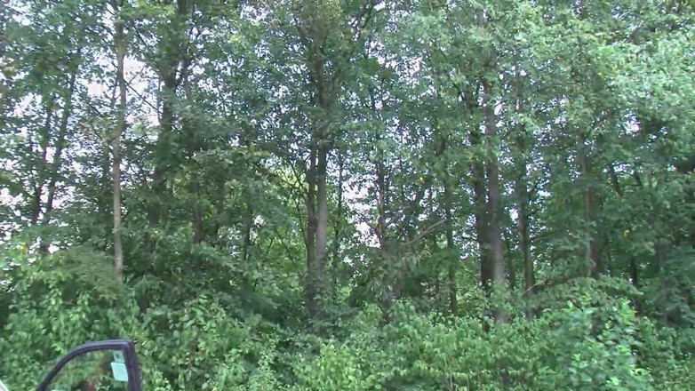 Porno Cloud: Rasblandat Knulla