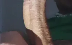 Horny Guy with Stepsister in the Room Next to Me