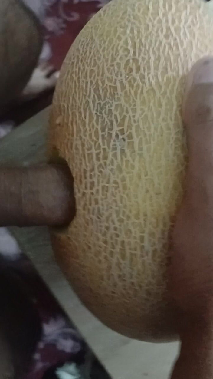 AlexCat: A Melon Named Yulia