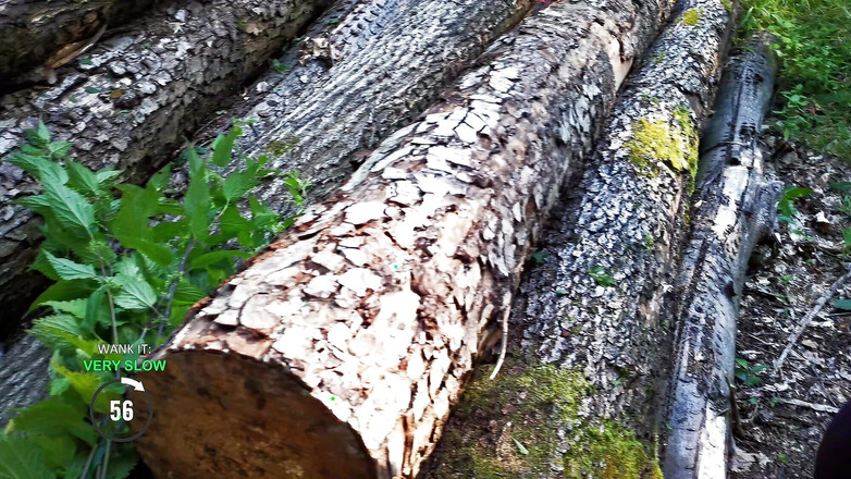 Bouncy Tits Action: Игра-дрочка 4 - Груди и крапива - постарайся не кончить!