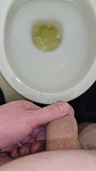 Pissing to the Toilet