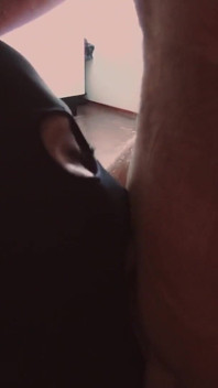 Odkurzacz do nasion 1