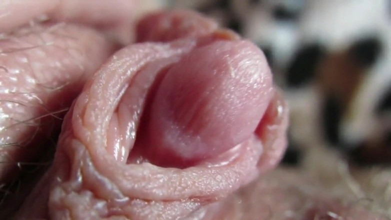 Cuteblonde666: Gran clítoris, compilación 2