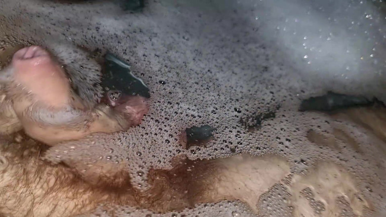 Alexander Audran: A Chi Va Di Farmi Compagnia? I Sega in Vasca...