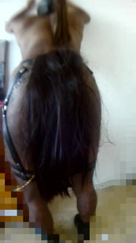 Petplay: Připevnění k zásuvce