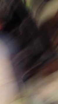Old Video of Me with a New Toy