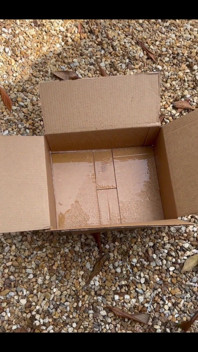 Peeing Outside Into an Amazon Box!!