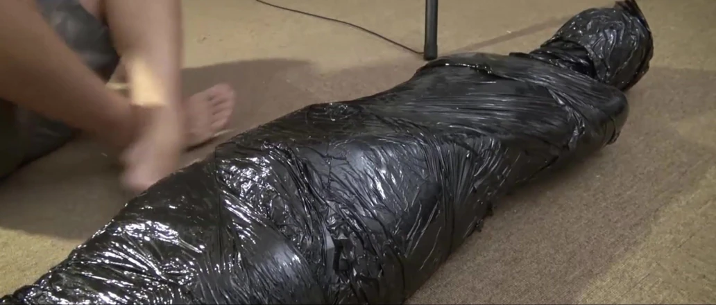 OrangeXXOO: Emerging From the Cocoon