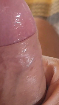 Bellissimo Gallo Rosa Che Trasuda Il Dolce Nettare.