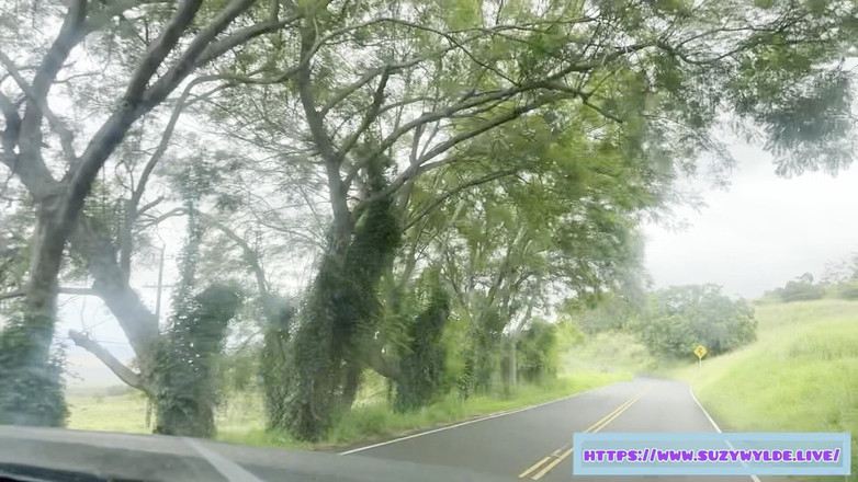 Suzy Wylde: Sfw chuyến đi đến Hana cho Suzy Wylde trong thác Waimoku, Maui