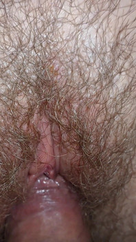 Entering Into Hairy Pussy