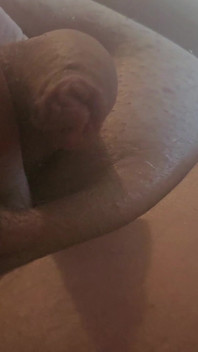 Penis