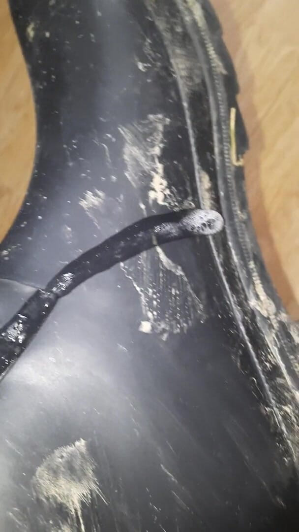 SinDee: Dirty rubberboots with leatherpants