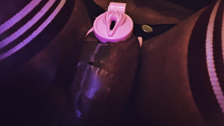 Ms300 Sarazia Exotic: Ms300 Sarazia Exotic Chasity Leak I