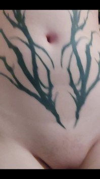 744685879884263424.mp4