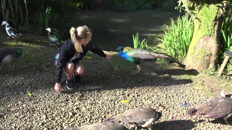 ATK Fans (Girlfriends): Virtual vacation in Hawaii with Bailey Brooke part 7