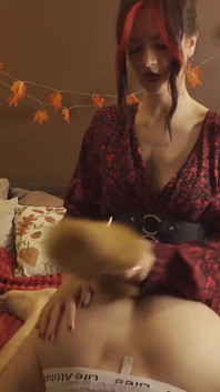 Dpeggingd Pegging Kollektion
