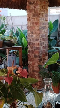 Masturbuje się z żoną mojego sąsiada na patio