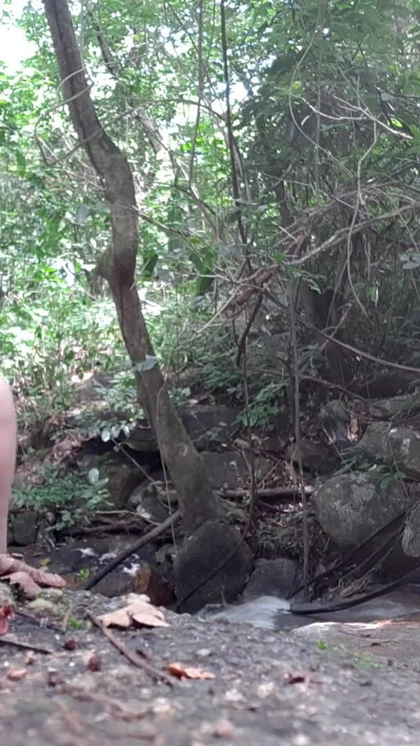 Private Na Floresta 1 (Tomsorte)
