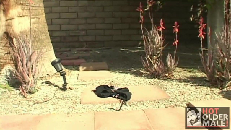 Pantheon men: Medvědí oáza: Bear 3 Way