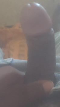 Desi Land 6 Inch