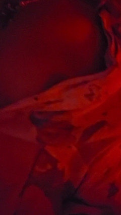 MajorDick: Tertangkap basah di depan ibu tiri lagi