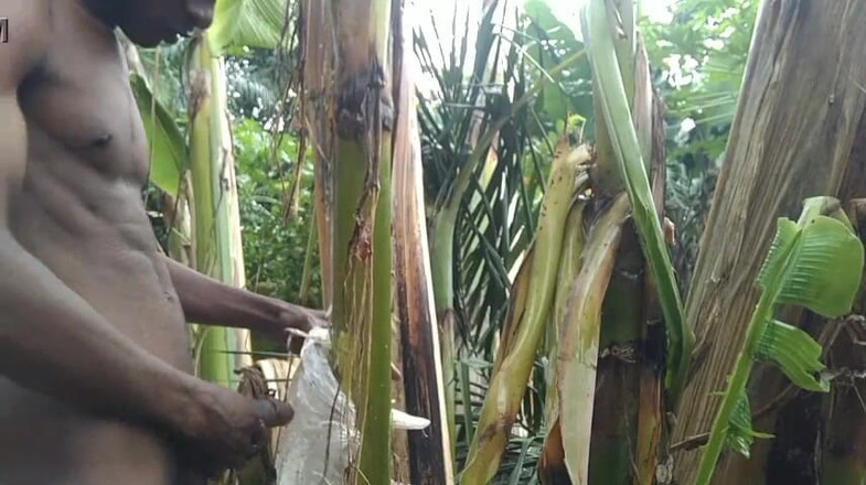 Bangcum8: Người đàn ông một mình trong rừng và làm cho cây plantain...