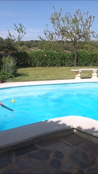 Jeder für Pool Tennis