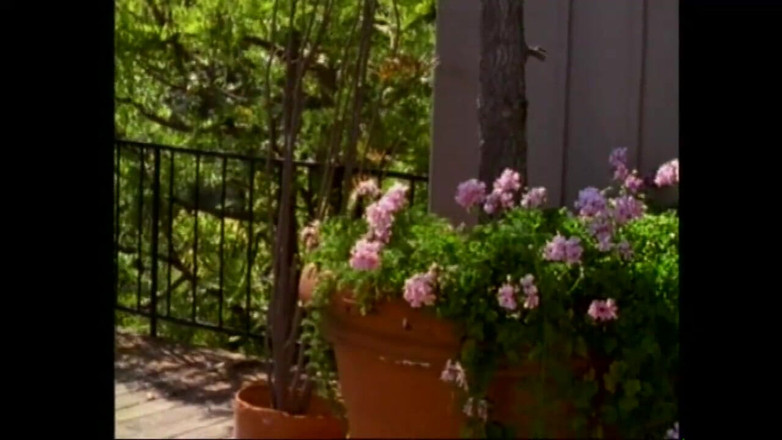 Forte porno TV xxx - (Just the best full movies): लौरा और टोनी एक दूसरे