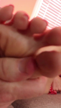 Little Piggy ini pergi ke Bandar