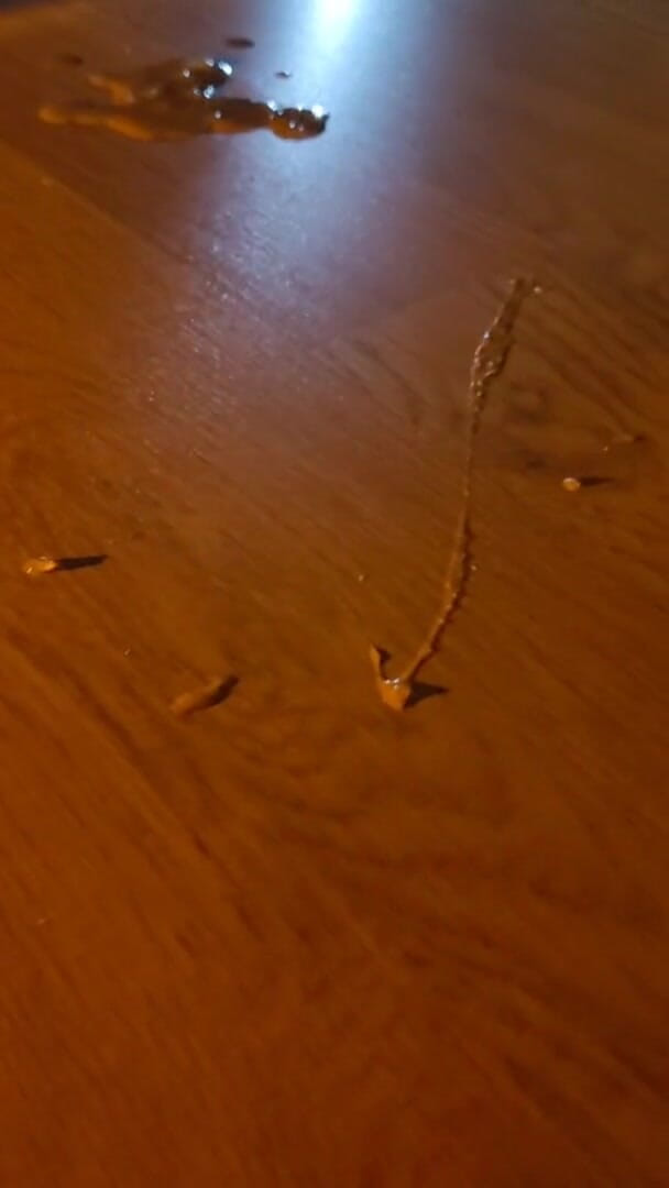 Wanker forever: Akşam mastürbasyonum