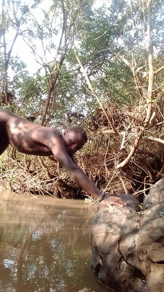 Don bronix: Don Bronix