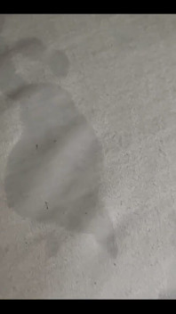 So Much for Fresh Sheets