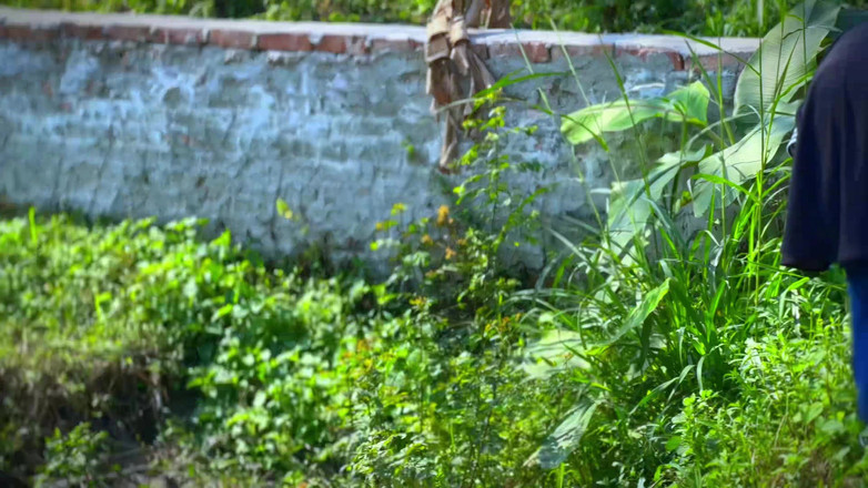Your Boy's Cum: Egyptská farmářka dívka ze zeleniny do místnosti a ošukaná cizincem -...
