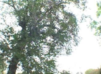 Analiscius: Stockinged blonde milf with big boobs gets ass fucked outdoors